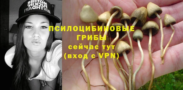 винт Нязепетровск